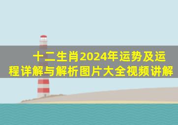 十二生肖2024年运势及运程详解与解析图片大全视频讲解