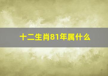 十二生肖81年属什么