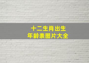 十二生肖出生年龄表图片大全