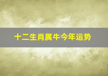 十二生肖属牛今年运势