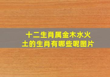 十二生肖属金木水火土的生肖有哪些呢图片