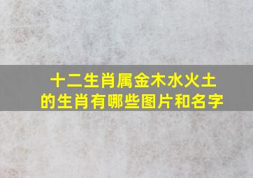 十二生肖属金木水火土的生肖有哪些图片和名字