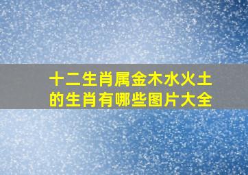 十二生肖属金木水火土的生肖有哪些图片大全