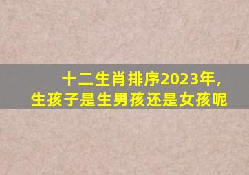 十二生肖排序2023年,生孩子是生男孩还是女孩呢