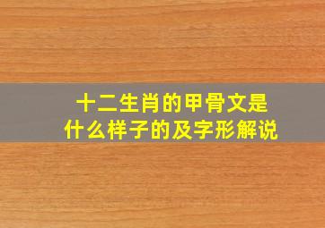 十二生肖的甲骨文是什么样子的及字形解说