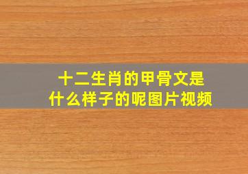 十二生肖的甲骨文是什么样子的呢图片视频