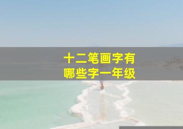 十二笔画字有哪些字一年级