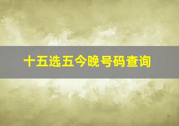 十五选五今晚号码查询