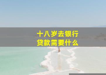 十八岁去银行贷款需要什么