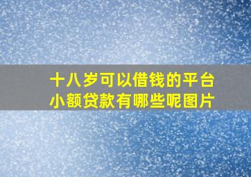 十八岁可以借钱的平台小额贷款有哪些呢图片