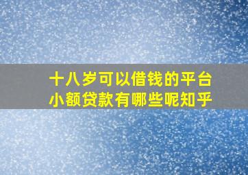 十八岁可以借钱的平台小额贷款有哪些呢知乎