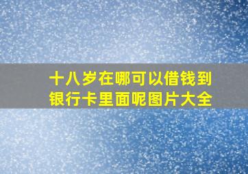 十八岁在哪可以借钱到银行卡里面呢图片大全