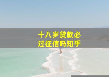 十八岁贷款必过征信吗知乎