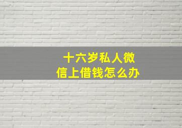 十六岁私人微信上借钱怎么办