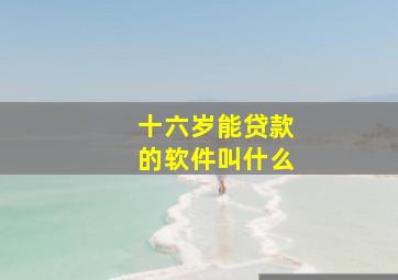 十六岁能贷款的软件叫什么