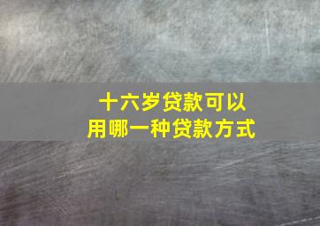 十六岁贷款可以用哪一种贷款方式