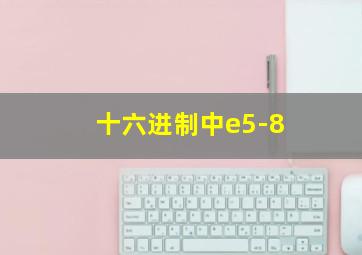 十六进制中e5-8