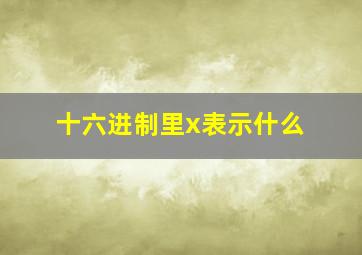 十六进制里x表示什么