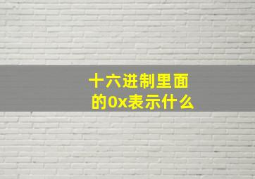 十六进制里面的0x表示什么