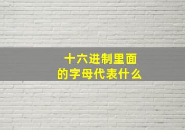 十六进制里面的字母代表什么