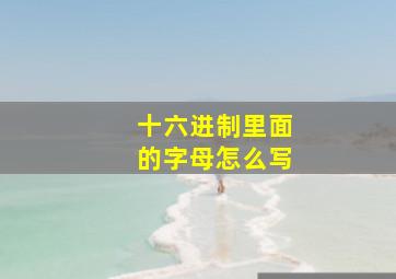 十六进制里面的字母怎么写