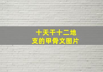 十天干十二地支的甲骨文图片