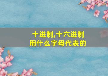 十进制,十六进制用什么字母代表的