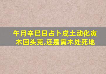 午月辛巳日占卜戌土动化寅木回头克,还是寅木处死地