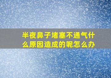 半夜鼻子堵塞不通气什么原因造成的呢怎么办