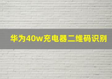 华为40w充电器二维码识别