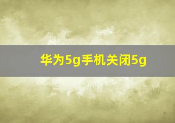 华为5g手机关闭5g