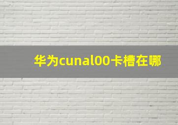 华为cunal00卡槽在哪