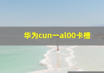 华为cun一al00卡槽