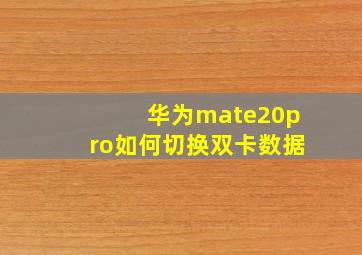 华为mate20pro如何切换双卡数据