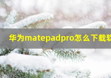 华为matepadpro怎么下载软件