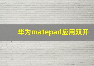 华为matepad应用双开