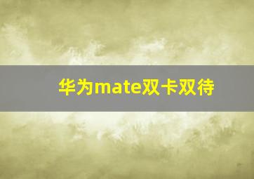 华为mate双卡双待