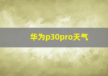 华为p30pro天气