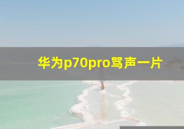 华为p70pro骂声一片