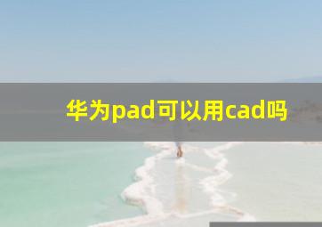 华为pad可以用cad吗