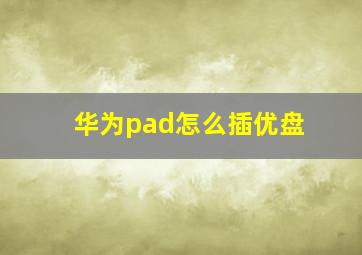 华为pad怎么插优盘