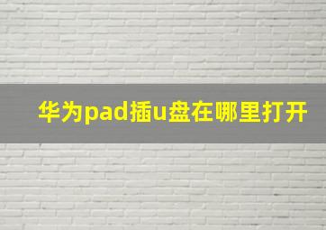 华为pad插u盘在哪里打开