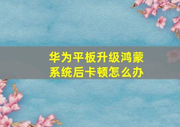 华为平板升级鸿蒙系统后卡顿怎么办