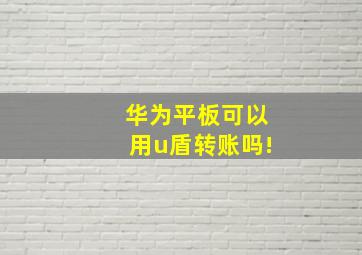 华为平板可以用u盾转账吗!