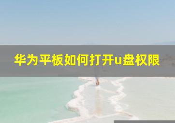 华为平板如何打开u盘权限