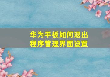 华为平板如何退出程序管理界面设置