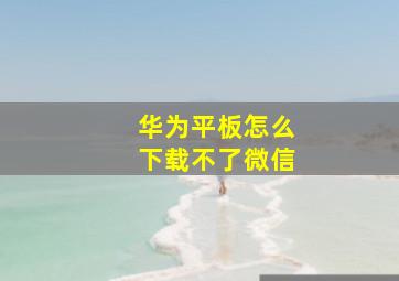 华为平板怎么下载不了微信