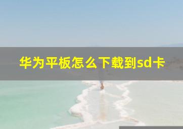 华为平板怎么下载到sd卡