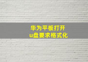 华为平板打开u盘要求格式化