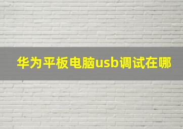 华为平板电脑usb调试在哪